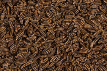 Close up caraway seeds