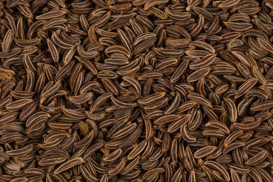 Close up caraway seeds