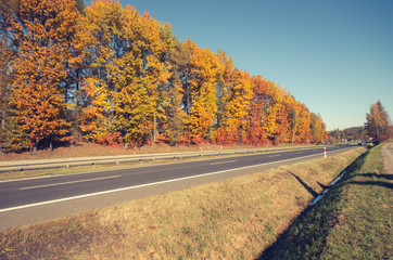 Asphalt road with row of colorful trees