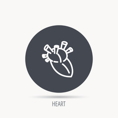 Heart icon. Human organ sign. Surgical transplantation symbol. Round web button with flat icon. Vector