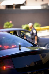 Undercover Police © bartsadowski