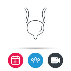 Urinary bladder icon. Human body organ sign. Urology health symbol. Group of people, video cam and calendar icons. Vector