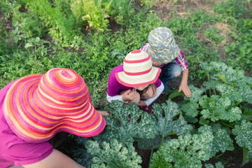 Kids helping their mom in the garden