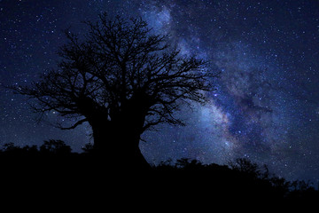 Fototapeta na wymiar Star Trails Milk Way in South Africa Night Sky