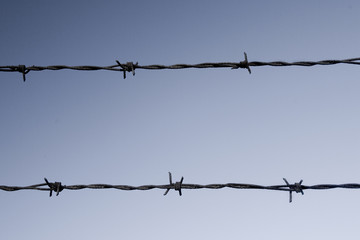 barbed wire