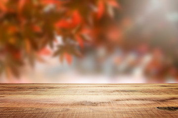 Wooden empty and blur forest background.