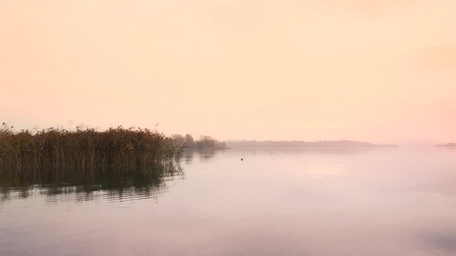 Sunrise on the quiet lake and cane thicket