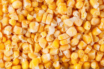 Vegetable frozen corn food background, healthy meal.