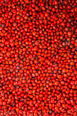 Adenanthera pavonina