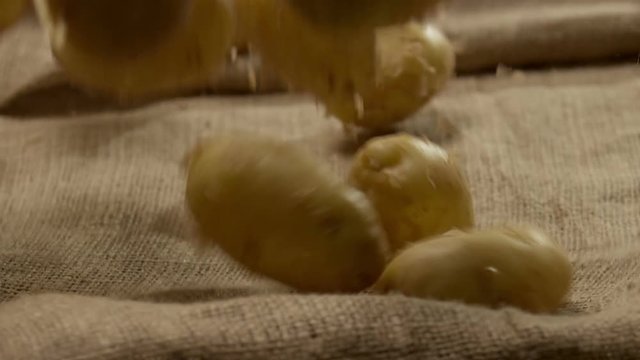 Many fresh potatoes falling and revolving in slow motion. Shot on RED EPIC DRAGON Cinema Camera.
