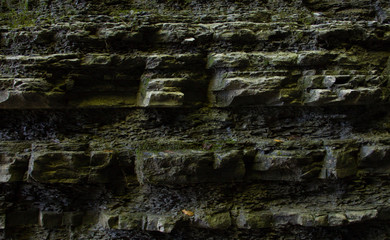 rock wall in an old deep well in the catacombs