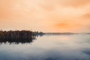 Fototapeta na wymiar Sunrise on the quiet lake and reeds