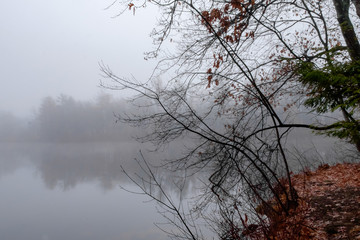 The Path on This Side