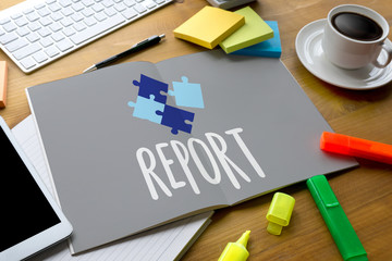 Report Information News Progress Research, "Credit Report" text