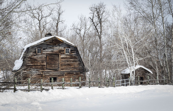 horizontal image of an old brown wood barn sitting behind a wood post fence with pure white snow covering the forefront with trees in the background in the winter time.