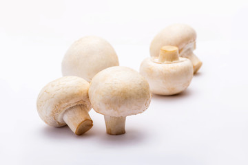 Fototapeta na wymiar Group of Five Champignon Mushrooms