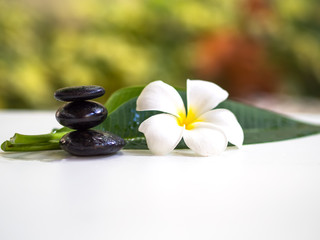 Frangipani plumeria Spa Flower with massage stones on white background