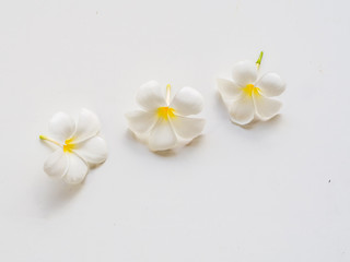Frangipani plumeria Spa Flower on white wooden, soft focus