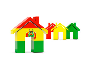 Flag of bolivia, home icon