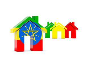 Flag of ethiopia, home icon