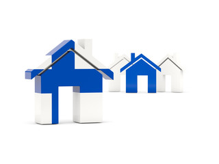 Flag of finland, home icon