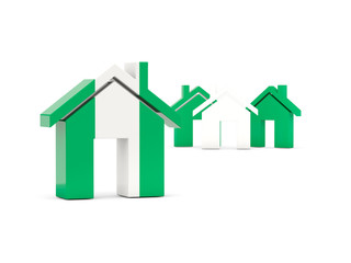 Flag of nigeria, home icon