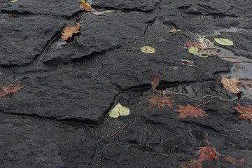 公演の石畳と彼は