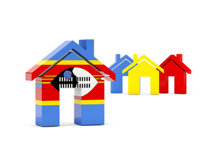 Flag of swaziland, home icon