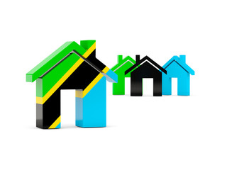 Flag of tanzania, home icon