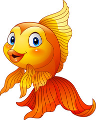 Cartoon cute goldfish