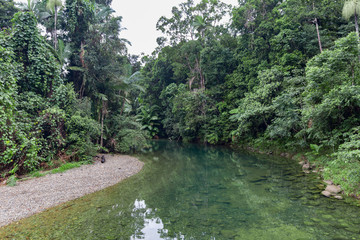 Fototapeta na wymiar River in the rain forest