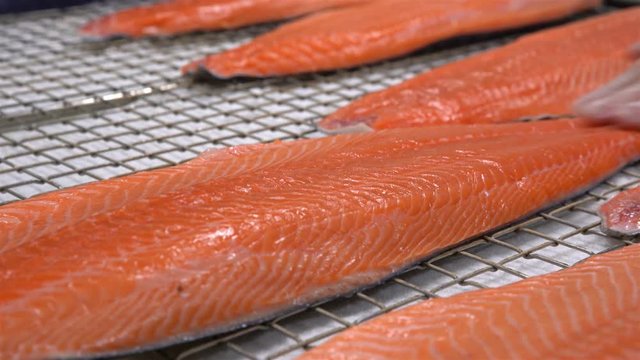Workers put the pieces of salmon fillet on a table for salting. Close up.