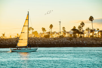 Sailing in Orange County