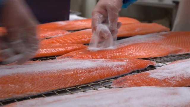 Workers applying salt on salmon fillets lying on table.