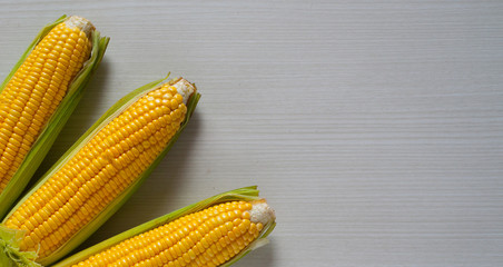fresh corn and a billboard with a natural and simple design, please use with your needs