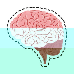Brain icon. Human organ mind and science theme. Isolated design. Vector illustration