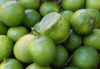 .Keep fresh lemon sour vitamin C from fresh green beautifully ar