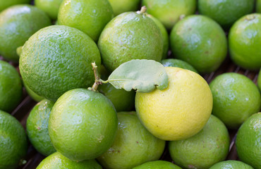 .Keep fresh lemon sour vitamin C from fresh green beautifully ar