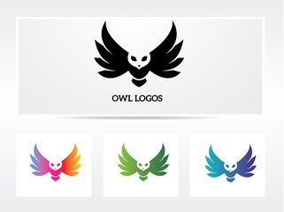 owl logo