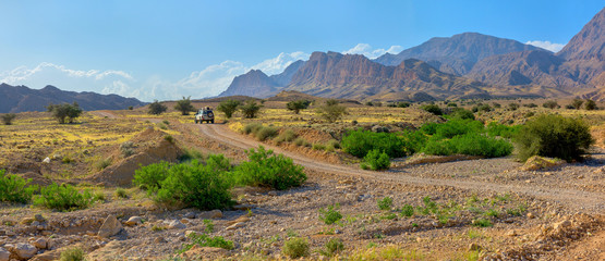 car going through the savanna