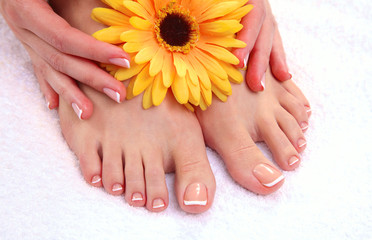 Obraz na płótnie Canvas Closeup photo of a beautiful female feet with red pedicure isolated on white