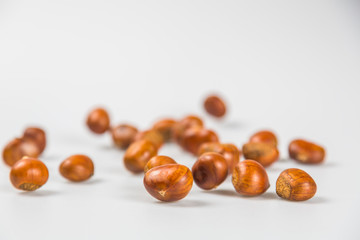 Close up of chestnut against white background.