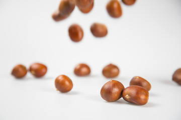 Close up of chestnut against white background.