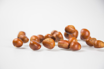 Close up of chestnut against white background.