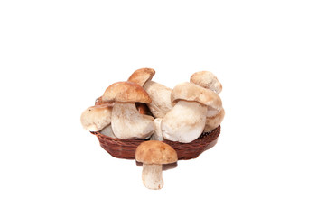 White mushrooms in the bag on a white background.