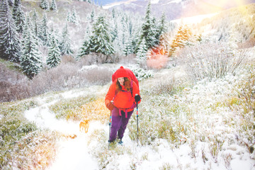 Girl with dog in winter mountains.