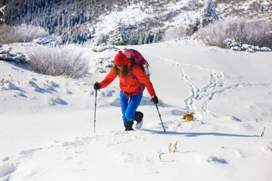 Girl with dog in winter mountains.