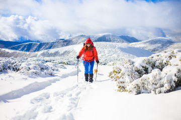 Fototapeta na wymiar Girl with dog in winter mountains.