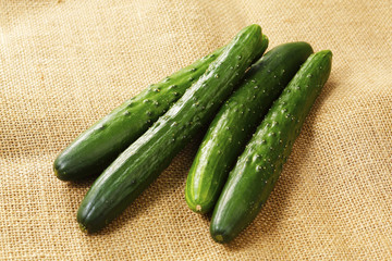 きゅうり　Cucumber