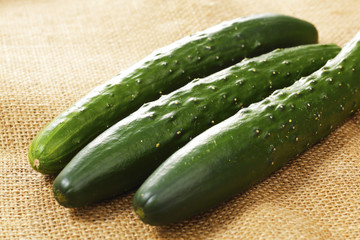 きゅうり　Cucumber